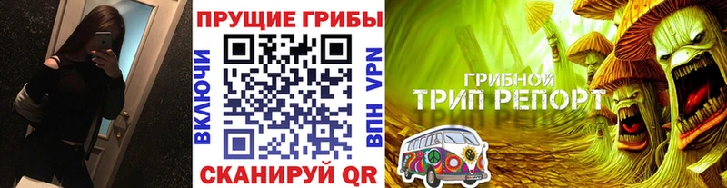 где купить наркотик Кисловодск Галлюциногенные грибы мухоморы