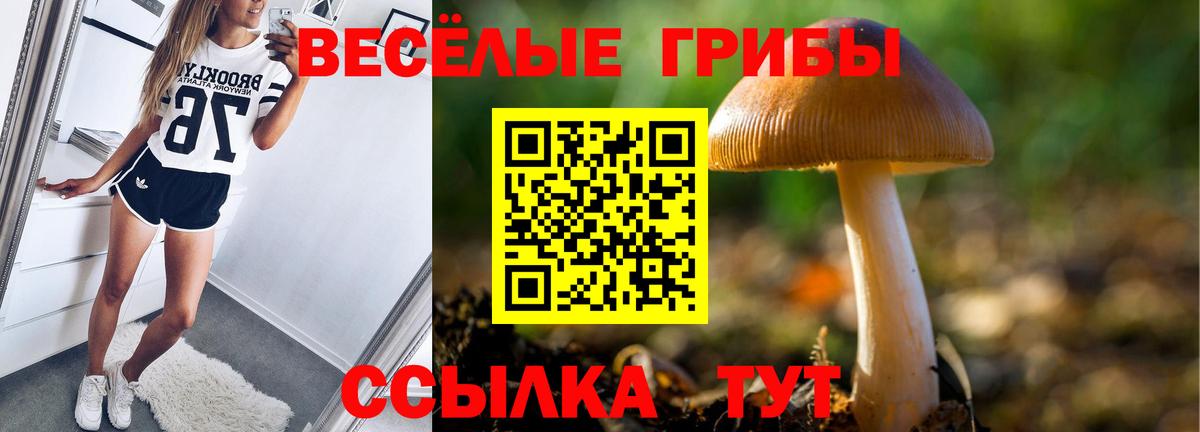 Галлюциногенные грибы Psilocybe  Вход с VPN  Кисловодск  закладка  Галлюциногенные грибы мицелий 
